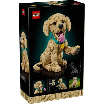 2. LEGO 11384 Icons - Szczeniak golden retriever