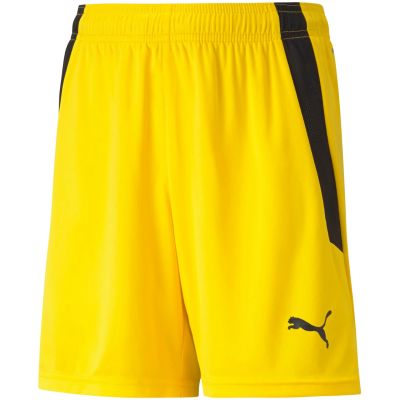 2. Spodenki Puma teamLIGA Shorts Jr 704931 07