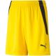 2. Spodenki Puma teamLIGA Shorts Jr 704931 07