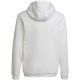 2. Bluza adidas Entrada 22 Hoody Jr HG6303