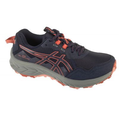 Buty do biegania Asics Gel-Venture 10 W 1012B759-402