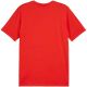 4. Koszulka Puma Team Goal Casuals Tee M 658615 01