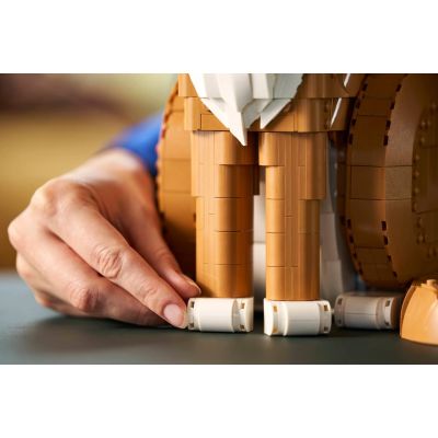 2. LEGO Ideas 21376 - Rudy kot