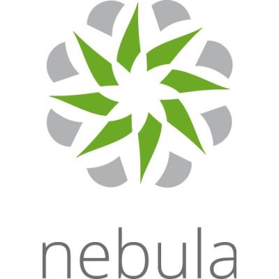 Licencja Zyxel Nebula Professional Pack (Na Urządzenie) 1 ROK