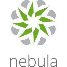 Licencja Zyxel Nebula Professional Pack (Na Urządzenie) 1 ROK
