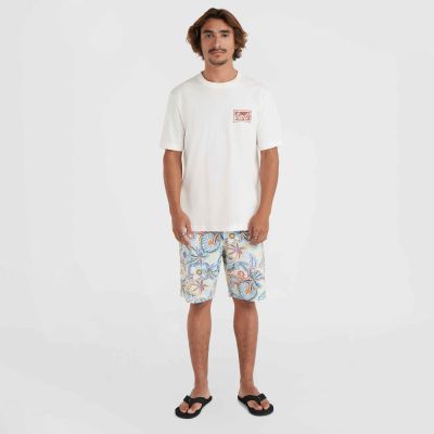 9. Koszulka O'Neill Beach Graphic T-Shirt M 92800613968