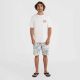 9. Koszulka O'Neill Beach Graphic T-Shirt M 92800613968