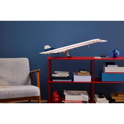 9. LEGO Icons 10318 Concorde