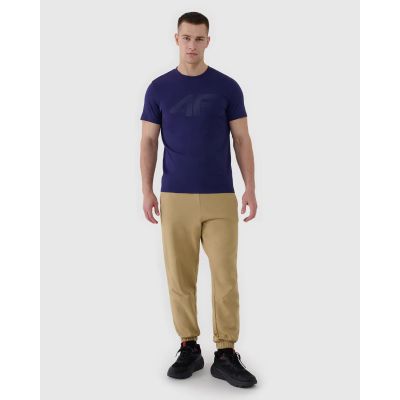 2. Koszulka męska 4F 4FWMM00TTSHM2257-31S