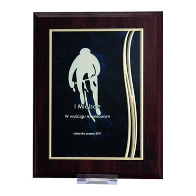 6. Dyplom z tworzywa sztucznego z metalową blaszką grawerowany