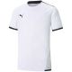 3. Koszulka Puma teamLIGA Jersey Jr 704925 04