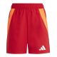 Spodenki adidas Tiro 24 Competition Jr IQ4776