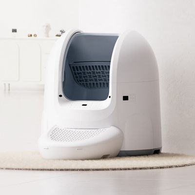 195. Odważnik THORN+FIT Żeliwo z powłoką Kettlebell 6kg