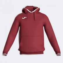 Bluza z kapturem Joma Combi Premium 104495.672