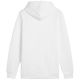 3. Bluza Puma Ess+ Logo LAB Gradient Hoodie FL M 681775 02