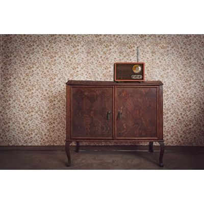 12. Radio ADLER AD 1171