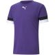 3. Koszulka Puma teamRise Jersey M 704932 10