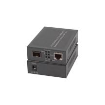 EFB Elektronik EL029 konwerter sieciowy 1000 Mbit/s Multifunkcyjny, Pojedynczy Czarny