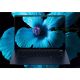 25. HP EliteBook Ultra G1i Next Gen AI PC Copilot+ PC Intel Core Ultra 5 228V Laptop 35,6 cm (14") 2.8K 32 GB LPDDR5x-SDRAM 512 GB SSD Wi-Fi 7 (802.11be) Windows 11 Pro Niebieski