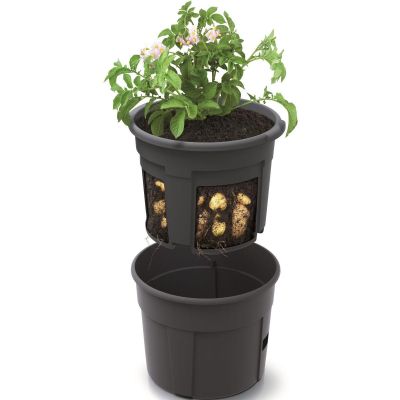 12. DONICZKA DO SADZENIA ZIEMNIAKÓW ŚR 39,2CM