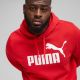6. Bluza Puma ESS No.1 Logo Hoodie FL M 682570 11