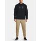 5. Bluza Under Armour UA Armour Fleece Big Logo HD M 1379743-001