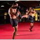 16. Rękawice MMAsparingowe L/XL - Phantom Red - Valor Series | DBX Bushido