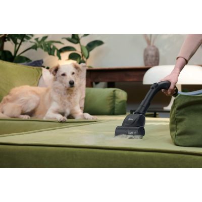 62. Odkurzacz Hoover HE120PET 011 7809079 2,5L Cylinder próżniowy Suchy 700W Worek na kurz