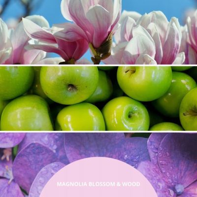 2. Uzupełniacz do pałeczek 250ml MAGNOLIA BLOSSOM & WOOD MILLEFIORI