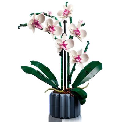 4. LEGO Icons 10311 - Orchidea