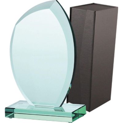 5. Trofeum szklane z etui