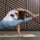 10. Mata do jogi Gaiam Printed Cork Mandala 5 mm 63495