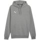 5. Bluza Puma Team Goal Casuals Hoody M 658618 33