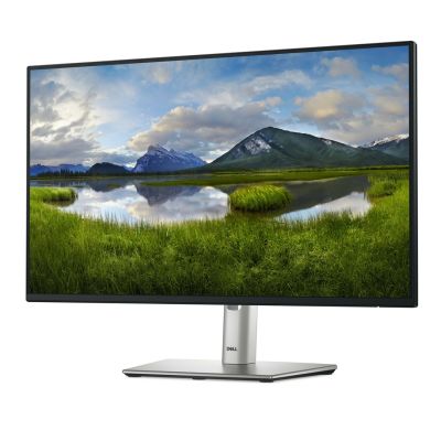 10. MONITOR DELL LED 24" P2425HE