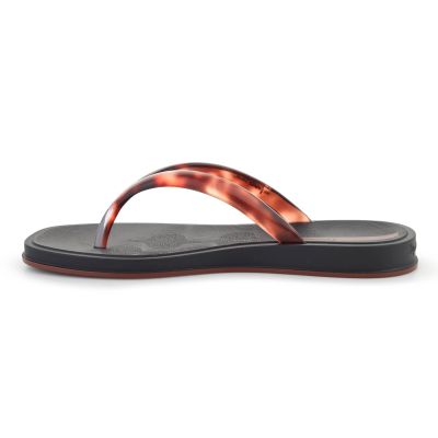 4. IPANEMA GLOW TRENDY AD BLACK/TURTLE/BROWN 27419-BR843