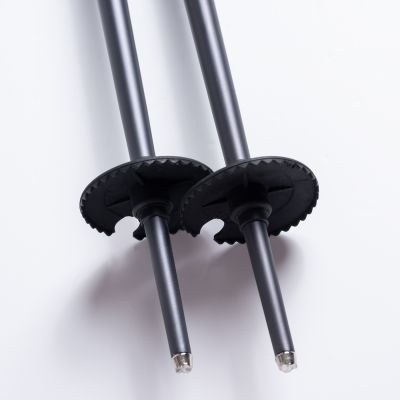 7. Kije ALPINE SKI II