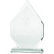 5. Trofeum szklane grawerowane 3D z etui
