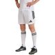 Spodenki męskie adidas Tiro 26 League białe KA8775