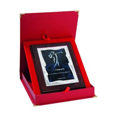 2. Dyplom z tworzywa sztucznego z metalową blaszką grawerowany + etui