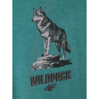 6. Bluza dresowa regular z kapturem chłopięca 4F 4FJKAW26TSWSM3153-46S