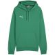 3. Bluza Puma Team Goal Casuals Hoody M 658618 05
