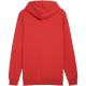 2. Bluza Puma Ess Logo Lab Hoodie FL M 684669 15