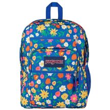 JanSport Big Student Backpack EK0A5BAH4Z9 Wielokolorowe One size