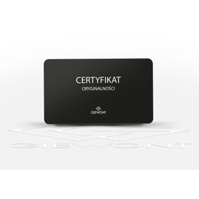 9. Zegarek Męski Giewont Chronograph Sapphire Srebrno Niebieski GW8810-A2