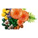5. LEGO Botanical Collection 11505 - Grzyby leśne