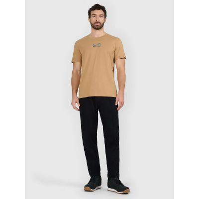 4. T-shirt regular z nadrukiem męski 4F 4FRAW25TTSHM3377-83S