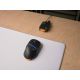 26. Glorious Gaming Model D3 Wireless myszka Dla praworęcznych RF Wireless Optyczny 30000 DPI