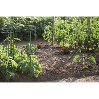 10. PODPORA DO ROŚLIN FLOO SUPPORTS ŚR. 25 I 35CM ZIELONY LEŚNY