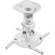 TECHLY UCHWYT DO PROJEKTORA SUFITOWY 22CM 10KG BIA