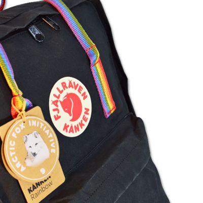 5. Plecak Fjallraven kanken 16L Rainbow Pattern F23620-550-907